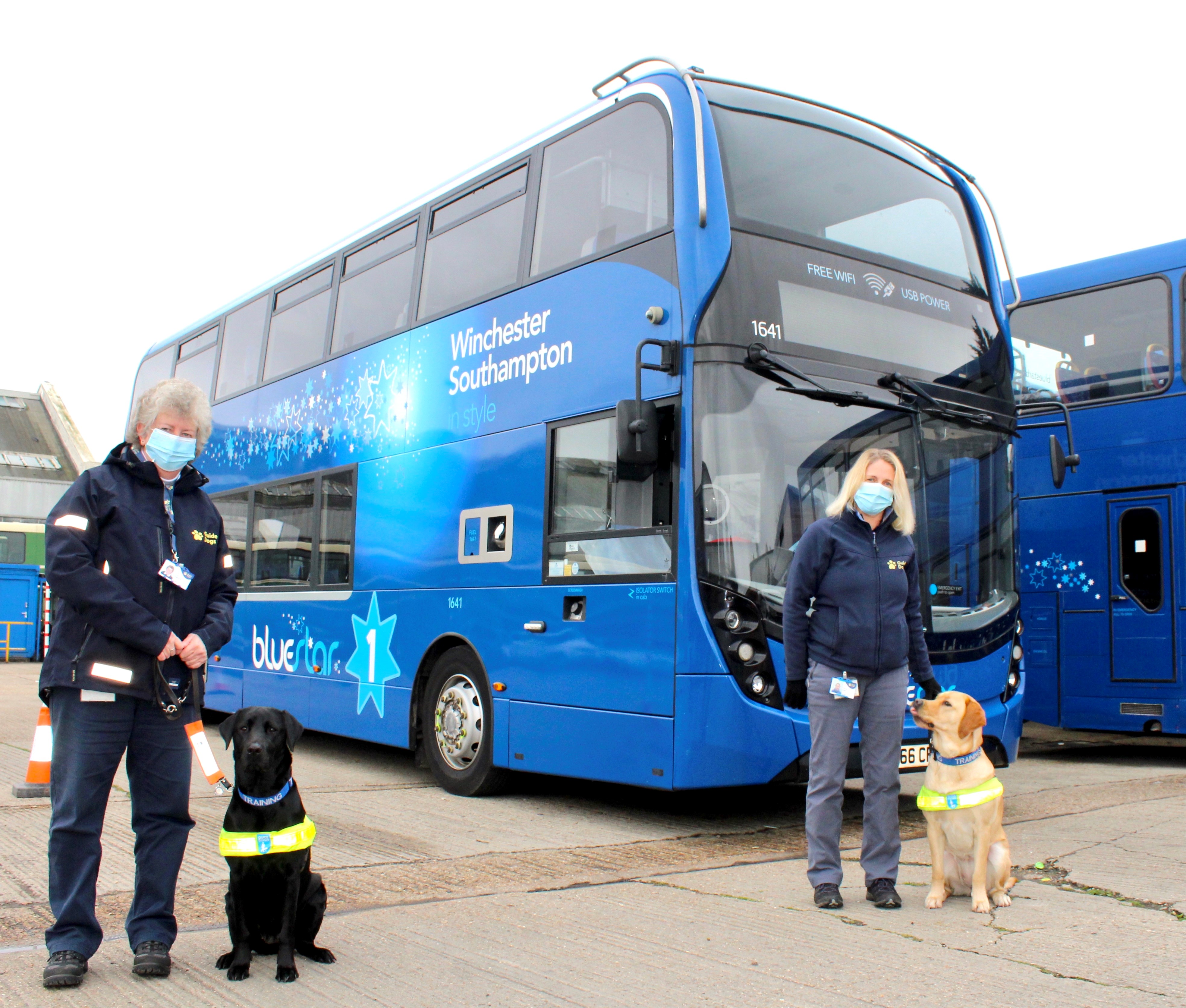 Vital bus travel experience for local guide dogs in training Bluestar
